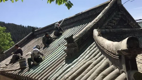 成功案例